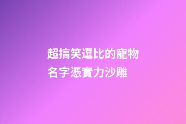 超搞笑逗比的寵物名字憑實力沙雕