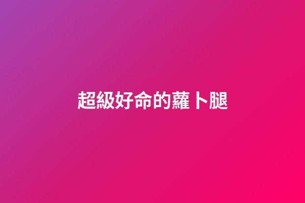 超級好命的蘿卜腿