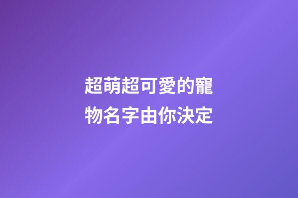 超萌超可愛的寵物名字由你決定
