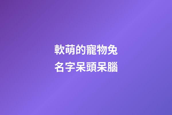 軟萌的寵物兔名字呆頭呆腦