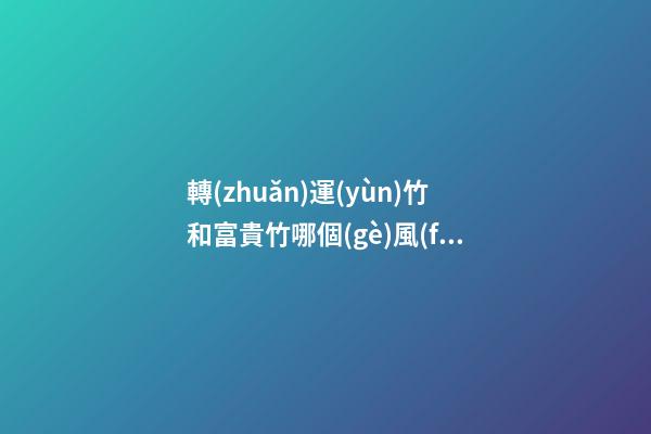 轉(zhuǎn)運(yùn)竹和富貴竹哪個(gè)風(fēng)水更好，擺放竹子的講究