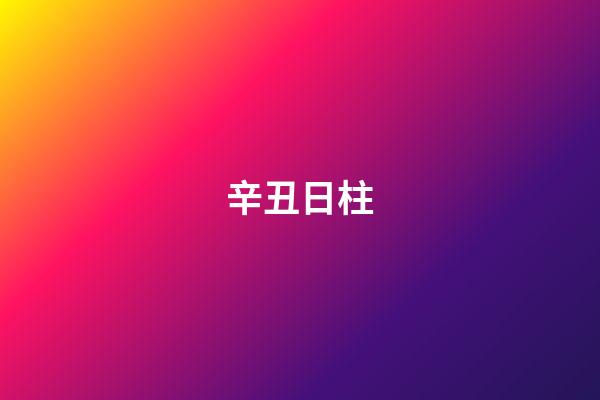 辛丑日柱