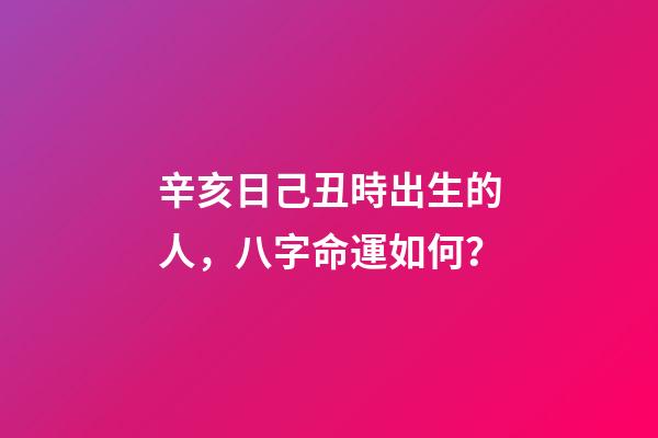 辛亥日己丑時出生的人，八字命運如何？