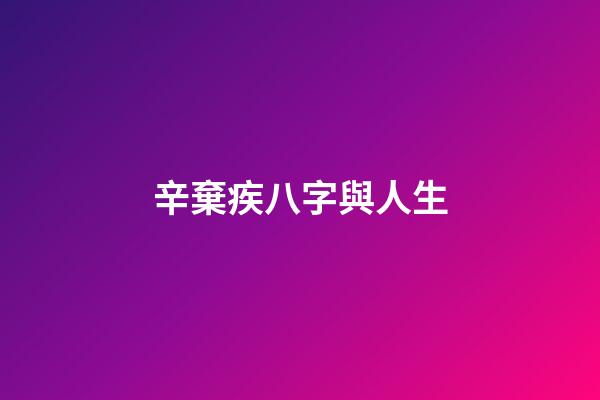 辛棄疾八字與人生