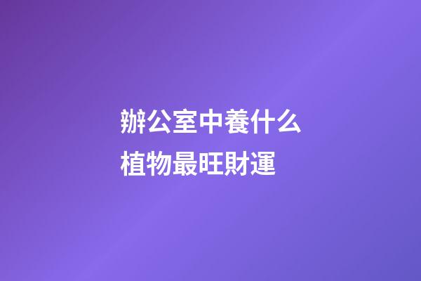 辦公室中養什么植物最旺財運