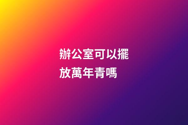 辦公室可以擺放萬年青嗎