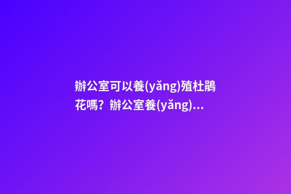 辦公室可以養(yǎng)殖杜鵑花嗎？辦公室養(yǎng)殖杜鵑花好不好？