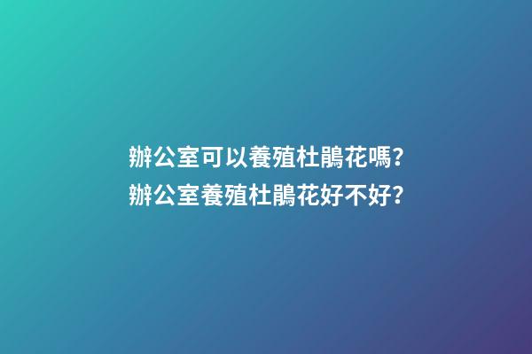 辦公室可以養殖杜鵑花嗎？辦公室養殖杜鵑花好不好？