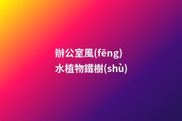 辦公室風(fēng)水植物鐵樹(shù)