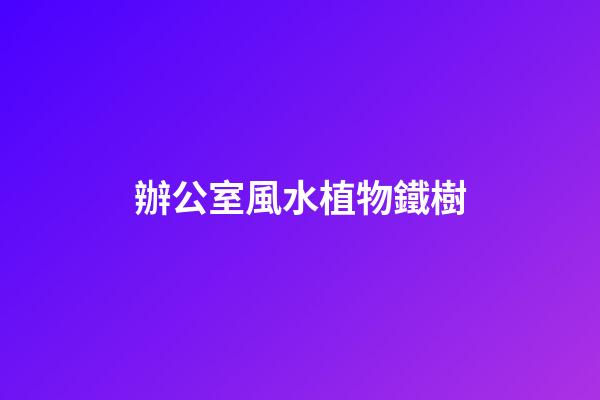 辦公室風水植物鐵樹