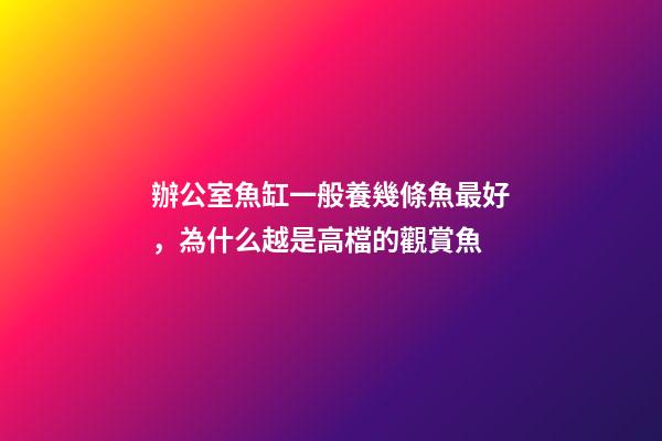 辦公室魚缸一般養幾條魚最好，為什么越是高檔的觀賞魚-第1張-觀點-玄機派