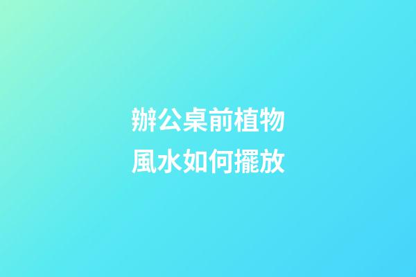辦公桌前植物風水如何擺放