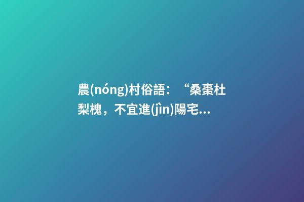 農(nóng)村俗語：“桑棗杜梨槐，不宜進(jìn)陽宅”，啥意思？看完明白了