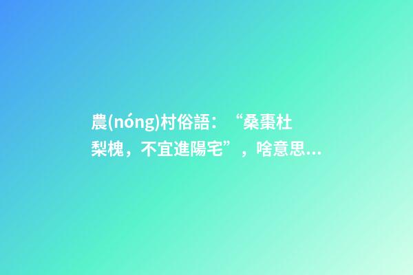農(nóng)村俗語：“桑棗杜梨槐，不宜進陽宅”，啥意思？看完明白了
