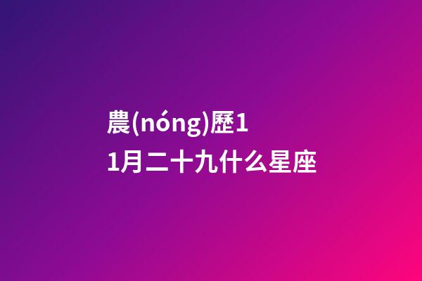 農(nóng)歷11月二十九什么星座-第1張-星座運勢-玄機派