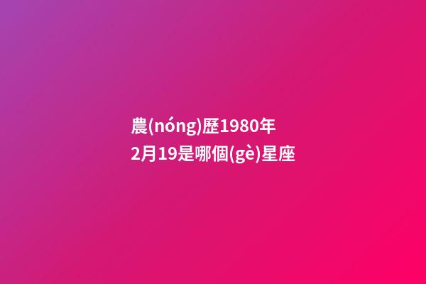 農(nóng)歷1980年2月19是哪個(gè)星座-第1張-星座運(yùn)勢(shì)-玄機(jī)派