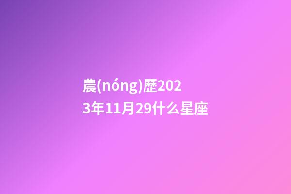 農(nóng)歷2023年11月29什么星座-第1張-星座運勢-玄機派