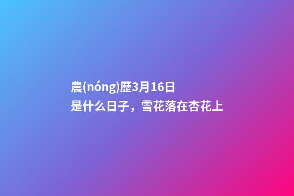 農(nóng)歷3月16日是什么日子，雪花落在杏花上-第1張-觀點(diǎn)-玄機(jī)派