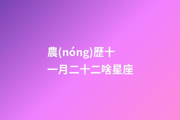 農(nóng)歷十一月二十二啥星座-第1張-星座運勢-玄機派