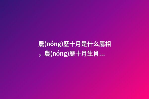農(nóng)歷十月是什么屬相，農(nóng)歷十月生肖日格運勢-第1張-觀點-玄機派