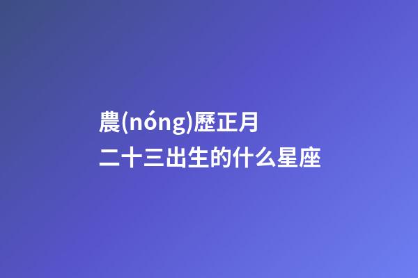 農(nóng)歷正月二十三出生的什么星座-第1張-星座運(yùn)勢(shì)-玄機(jī)派