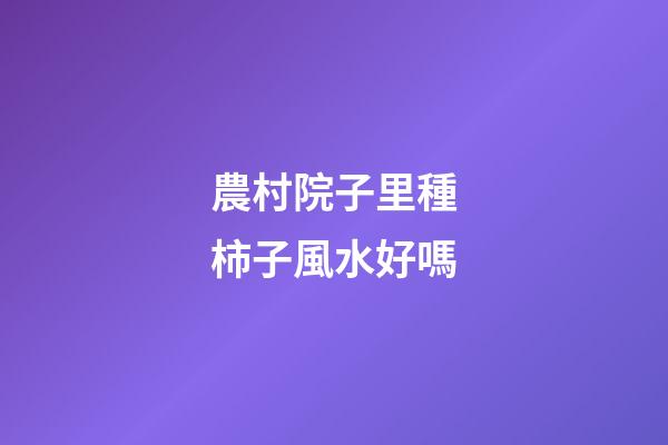 農村院子里種柿子風水好嗎