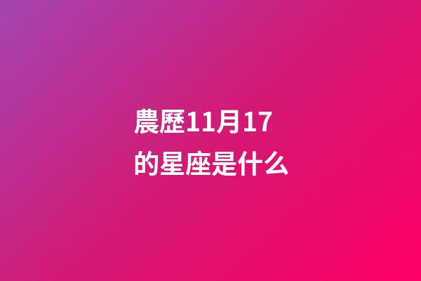 農歷11月17的星座是什么-第1張-星座運勢-玄機派