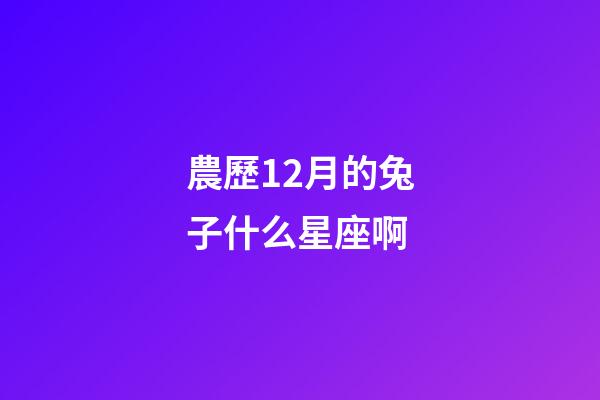 農歷12月的兔子什么星座啊-第1張-星座運勢-玄機派