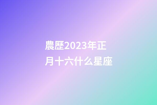 農歷2023年正月十六什么星座-第1張-星座運勢-玄機派