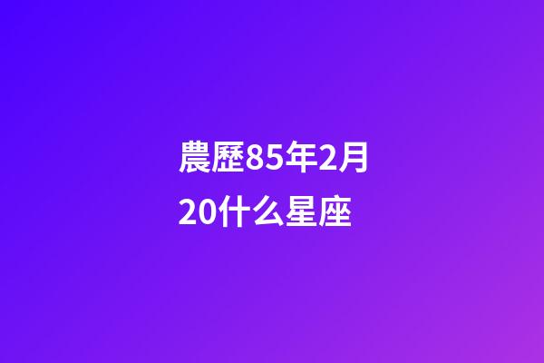 農歷85年2月20什么星座-第1張-星座運勢-玄機派