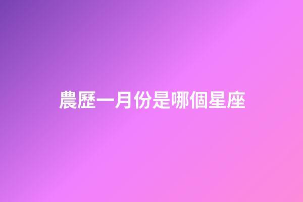 農歷一月份是哪個星座-第1張-星座運勢-玄機派