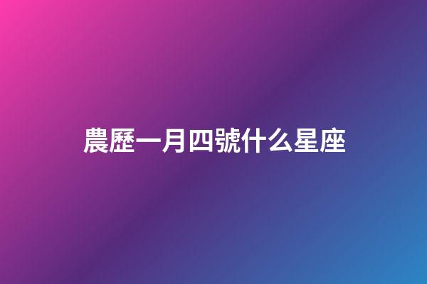 農歷一月四號什么星座-第1張-星座運勢-玄機派