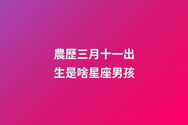 農歷三月十一出生是啥星座男孩-第1張-星座運勢-玄機派