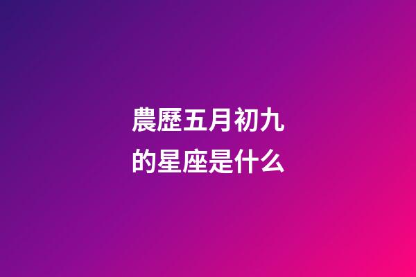 農歷五月初九的星座是什么-第1張-星座運勢-玄機派