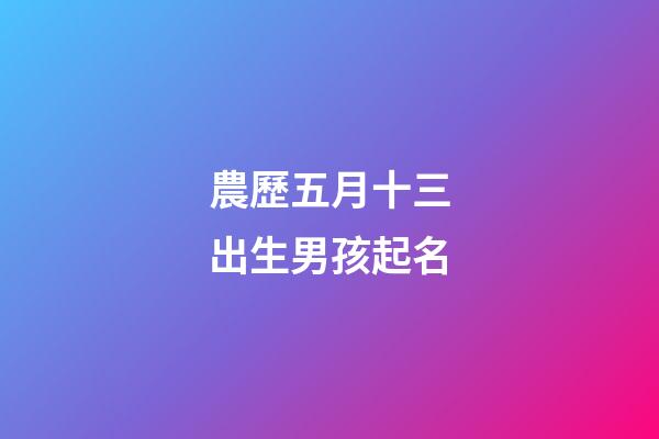 農歷五月十三出生男孩起名(農歷2023年五月十三男孩名字)-第1張-男孩起名-玄機派
