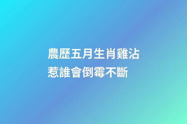 農歷五月生肖雞沾惹誰會倒霉不斷