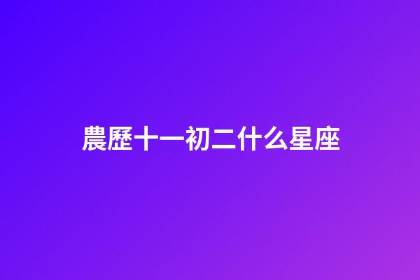 農歷十一初二什么星座-第1張-星座運勢-玄機派