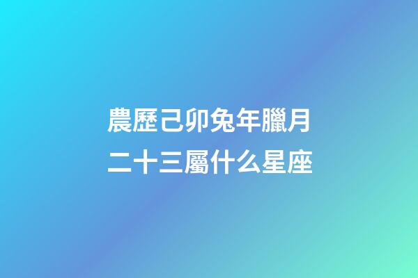 農歷己卯兔年臘月二十三屬什么星座-第1張-星座運勢-玄機派
