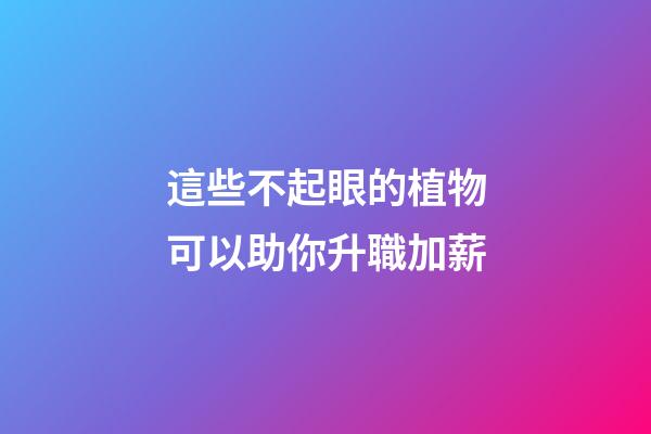 這些不起眼的植物可以助你升職加薪