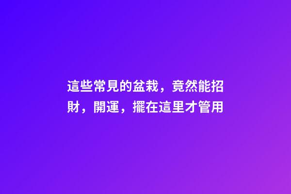 這些常見的盆栽，竟然能招財，開運，擺在這里才管用
