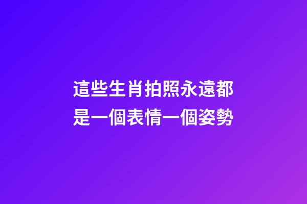 這些生肖拍照永遠都是一個表情一個姿勢