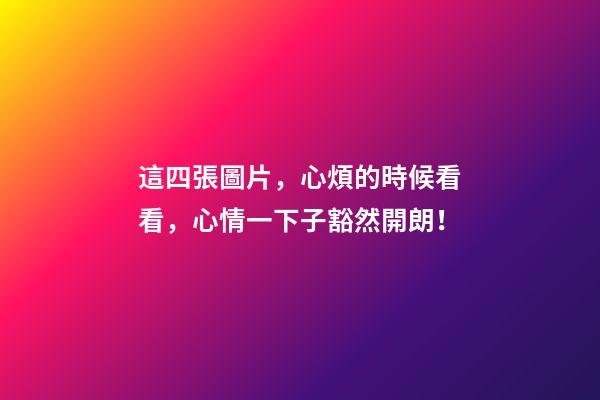 這四張圖片，心煩的時候看看，心情一下子豁然開朗！