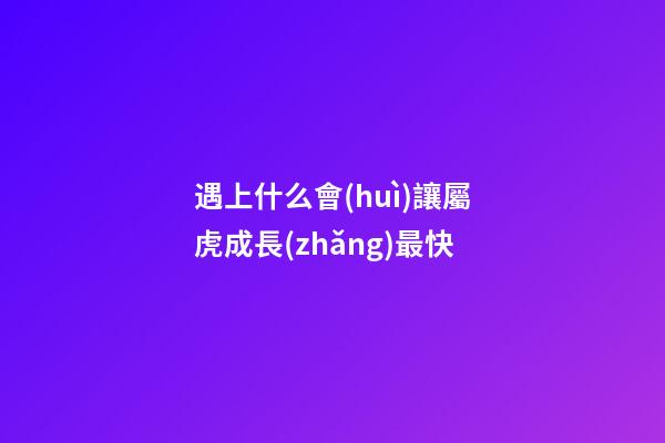 遇上什么會(huì)讓屬虎成長(zhǎng)最快