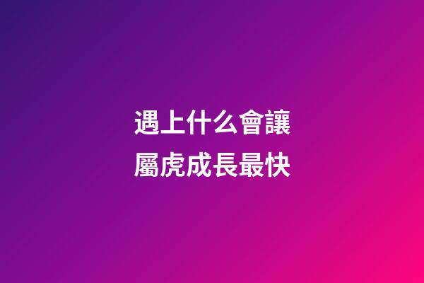 遇上什么會讓屬虎成長最快