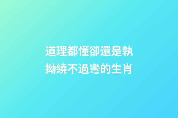 道理都懂卻還是執拗繞不過彎的生肖
