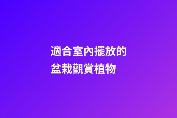 適合室內擺放的盆栽觀賞植物