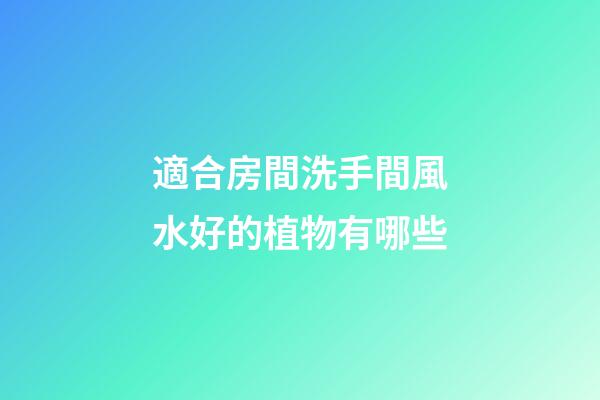 適合房間洗手間風水好的植物有哪些