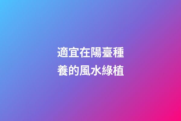 適宜在陽臺種養的風水綠植