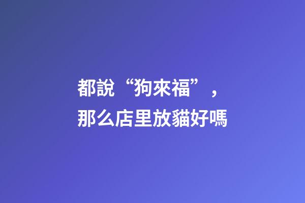 都說“狗來福”，那么店里放貓好嗎