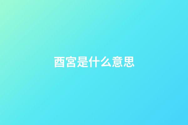 酉宮是什么意思